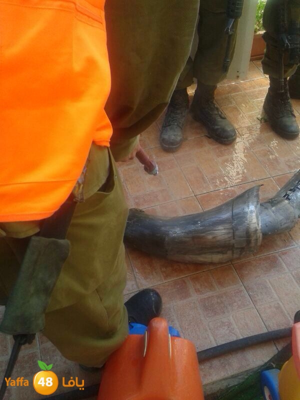 mpqawama rockhet (9).JPG